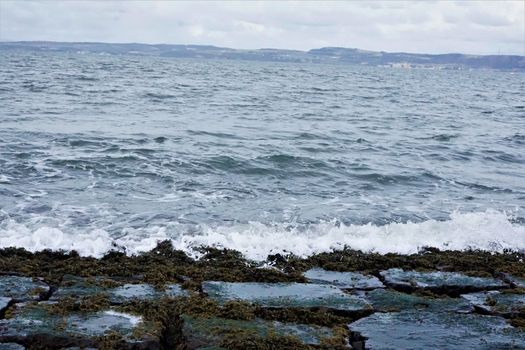 View over rocky shore with algas in Edinburgh lighthouse park