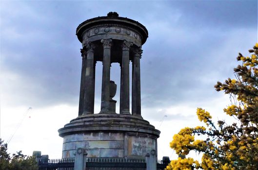 Dugald Stewart Monument on Calton Hill with yellow blossoms, Edinburgh Scotland