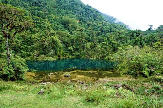 Pozo Verde and cloud forest in Juan Castro Blanco National Park, Costa Rica