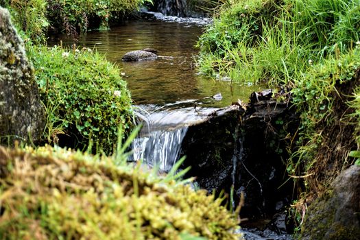 Small river near Pozo Verde in Juan Castro Blanco National Park, Costa Rica