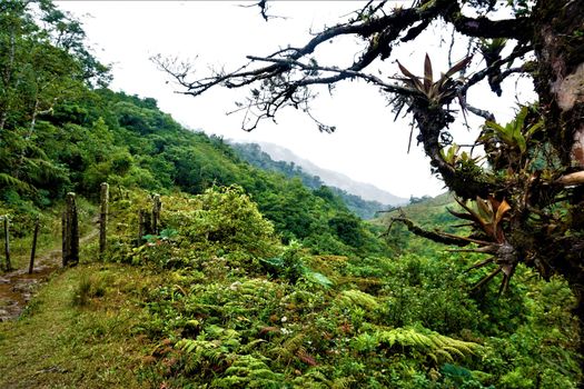 Beautiful landscape in Juan Castro Blanco National Park, Costa Rica
