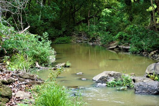 Riverbank in the Lomas de Barbudal Biological Reserve, Costa Rica