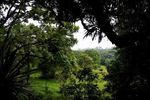 Beautiful scene in the Curicancha Reserve, Costa Rica