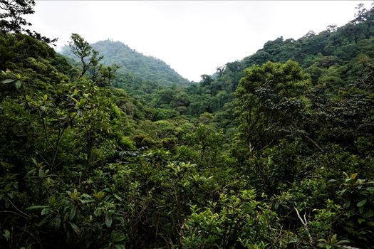 Continental divide in the Cordillera de Tilaran, Costa Rica