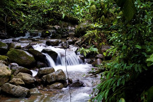 Beautiful stream and small waterfall in Las Quebradas Biological Center, Costa Rica