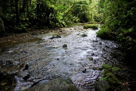 Wild river in the Braulio Carrillo National Park, Costa Rica