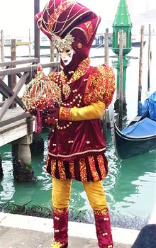 Colourful costume at the carnival in Venice, Italy