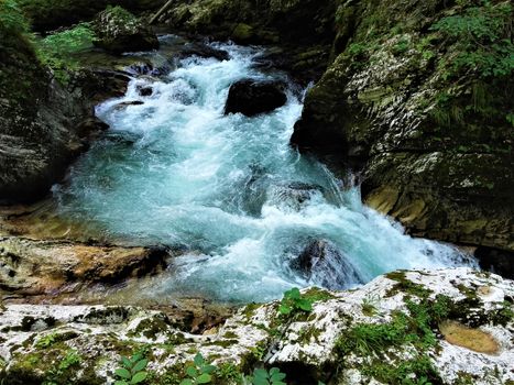 Wild part of Radovla river in the Vintgar Gorge, Slovenia