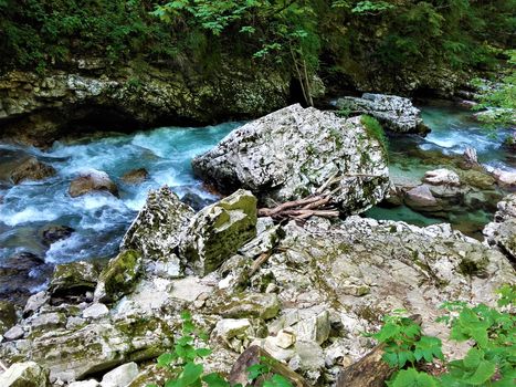 Colourful part of Radovla river in the Vintgar Gorge near Bled, Slovenia