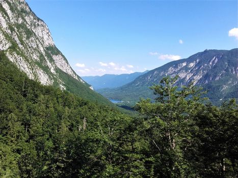 Beautiful Slovenia - lake Bohinj mountain panoramic view