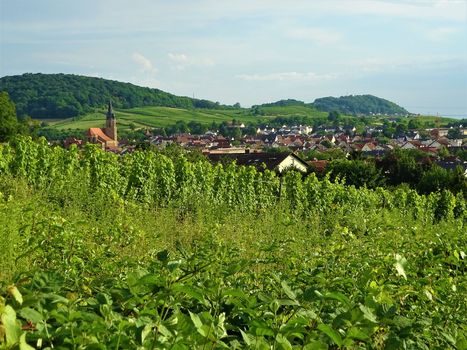 Beautiful view over the town of Rauenberg, Germany