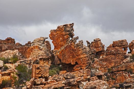 Interesting formations formed by wind erosion of sandstone in the Truitjieskraal region of the Cederberg Wilderness Area of the Western Cape. South Africa