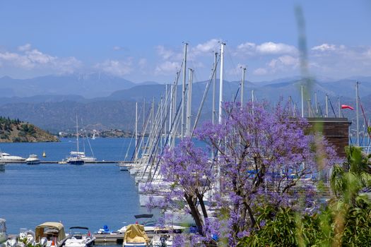 Fethiye Sailboat. Forest and beautiful sea in Mediterranean.