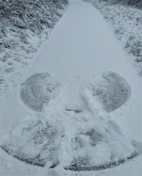 A photo of a snow angel and a path