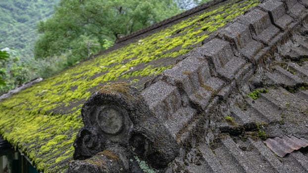 The close up of Japanese old house roof with moss on top in forest hill.