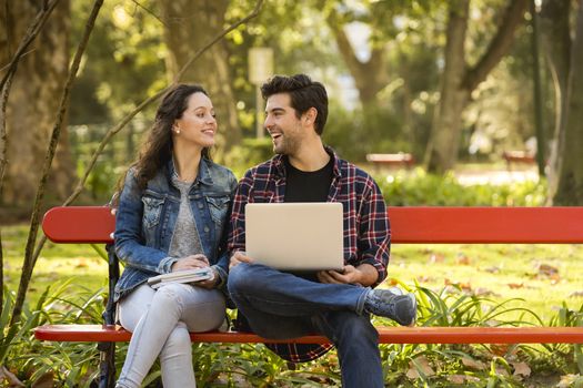 Friends studying tohether in the park