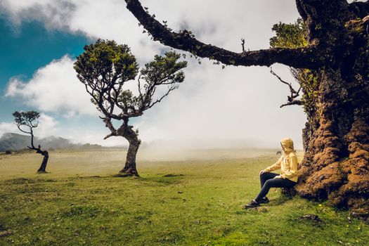 Woman resting near an Ancient tree and enjoying the view