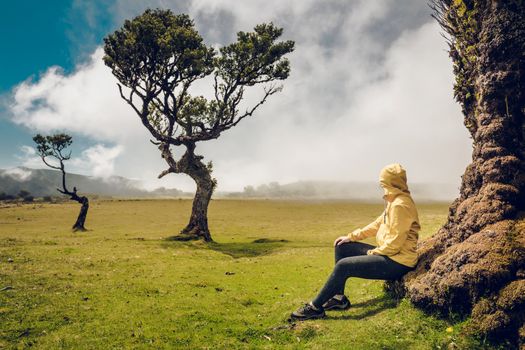 Woman resting near an Ancient tree and enjoying the view