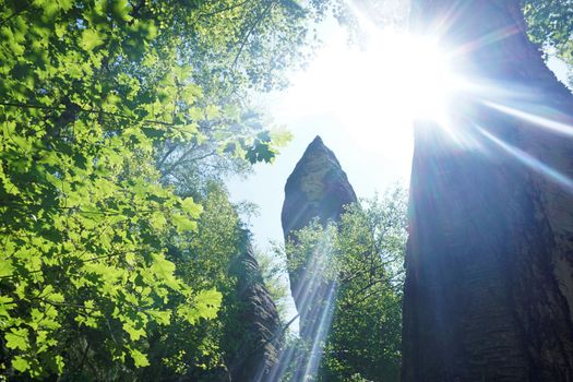 Sun shining through the treetops surrounding the big Schrammtor in Saxon Switzerland