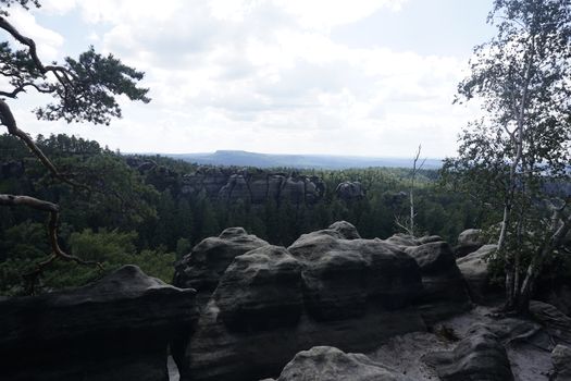 Dangerous looking canyon with typical sandstone rock formations in Saxon Switzerland