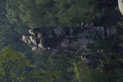 The Rohnspitze rock from Carolafelsen in front of green forest, Saxon Switzerland, Germany