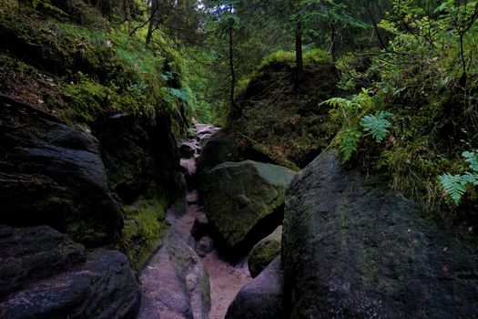 Narrow path through the Wilde Hoelle in Saxon Switzerland, Germany