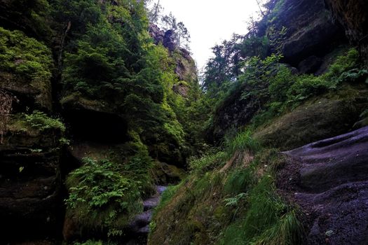 One of some wild parts on the Wild Hell trail in Saxon Switzerland, Germany