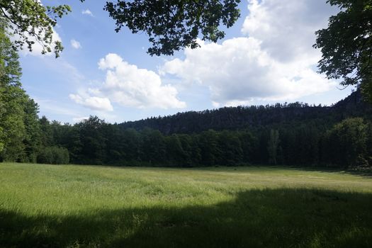 The Wildwiese meadow at the foot of the Schrammsteine mountain ridge in Saxon Switzerland