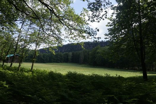 Wildwiese meadow with wooden hut at the foot of the Schrammsteine mountains