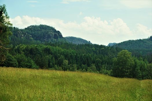 Beautiful view over meadow and forest to the Teichstein mountain in Saxon Switzerland
