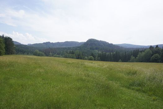 Beautiful view over meadow and forest to the Lorenzstein mountain in Saxon Switzerland