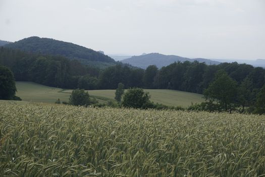 Beautiful view over meadow and forest to hills of Saxon Switzerland from Vogelberg mountain