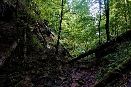 Wild and dangerous part of wolf's glen in Zwingenberg, Germany