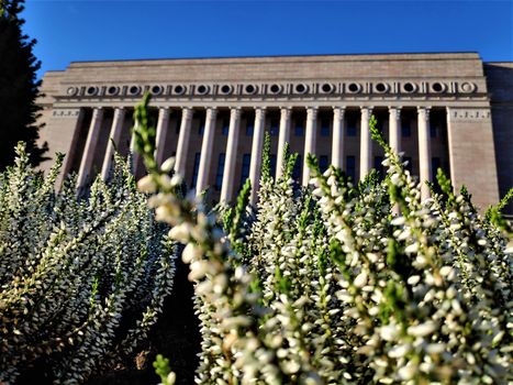 The Finnish Parliament House in Helsinki, Finland behind Erica plants