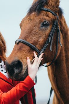 red-haired jockey girl in a red cardigan and black high boots with a horse for a walk