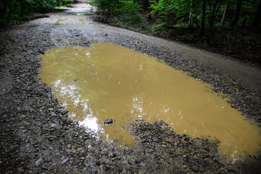 A large puddle on a dirt country road.