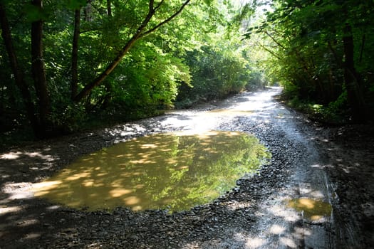 A large puddle on a dirt country road.