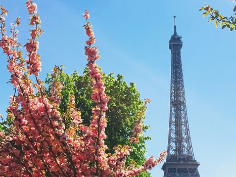 Eiffel Tower and blue sky, famous landmark in Paris, France in spring