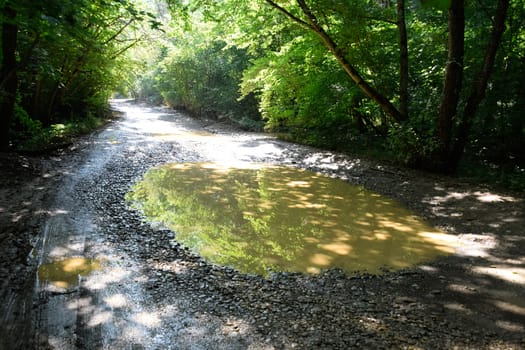 A large puddle on a dirt country road.