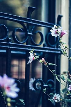 Blooming flowers in a European city garden