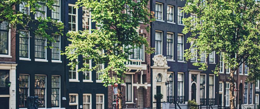 Main downtown street in the city center of Amsterdam in Netherlands on sunny day