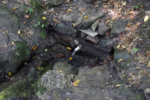 a tube inserted into the spring for the convenience of a set of drinking water. Shapsug Forest, Shapsugskaya Village.