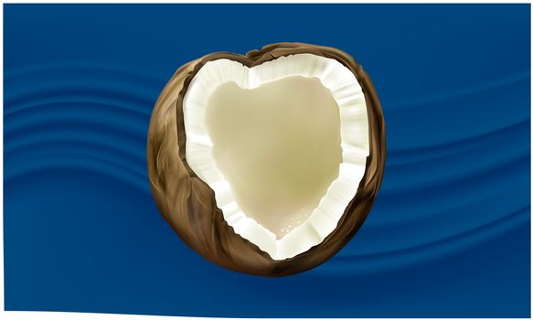 mock up illustration of coconut on abstract background