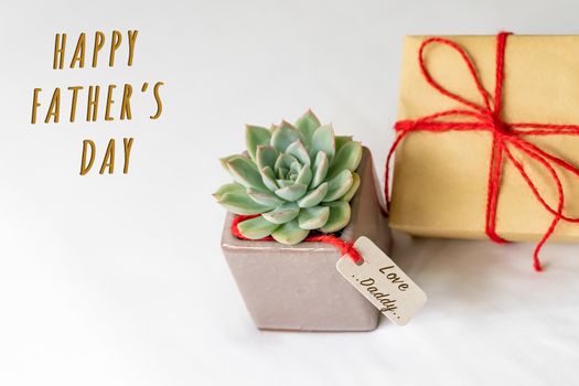 Happy father's day concept. Gift box and green cactus, paper tag with Love Daddy text