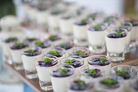 Blueberry panna-cotta recipes for party