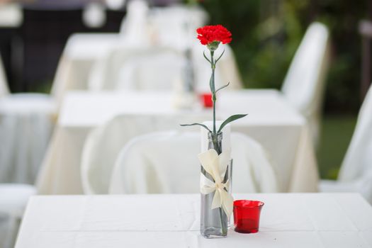 Beautiful red carnation flower in glass jar