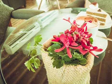 A red orchid with hot mocha coffee and mocha cake on the cozy coffee table