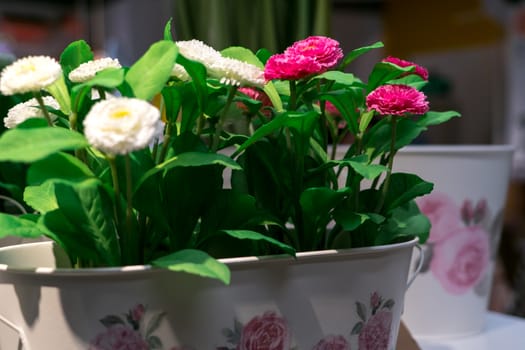 the beautiful pink and white flowers on blurred background