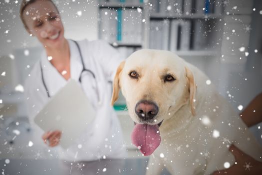 Composite image of dog with female veterinarian against snow falling