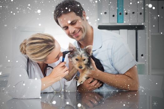 Composite image of veterinarian examining ear of puppy against snow